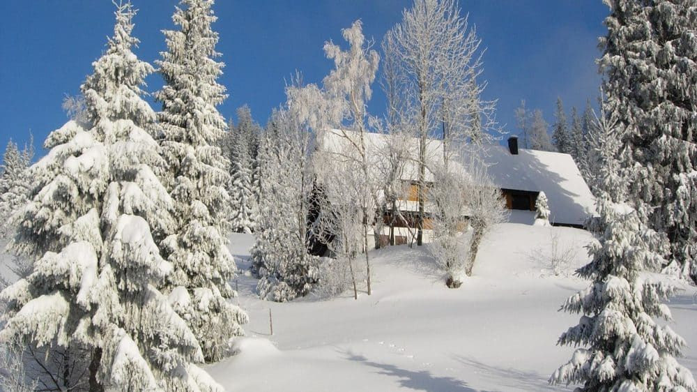 Winterlandschaft - Schwarzwald - Deutschland