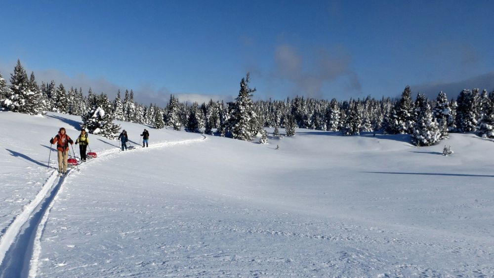 Nordische Skitour im Winter - Vercors - Frankreich