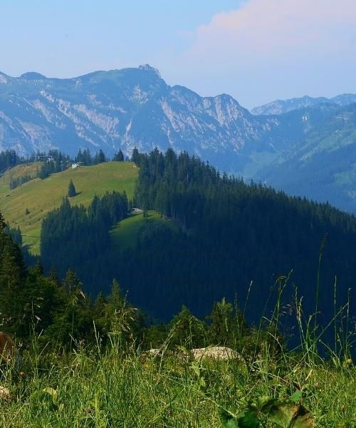 Zwieselalm