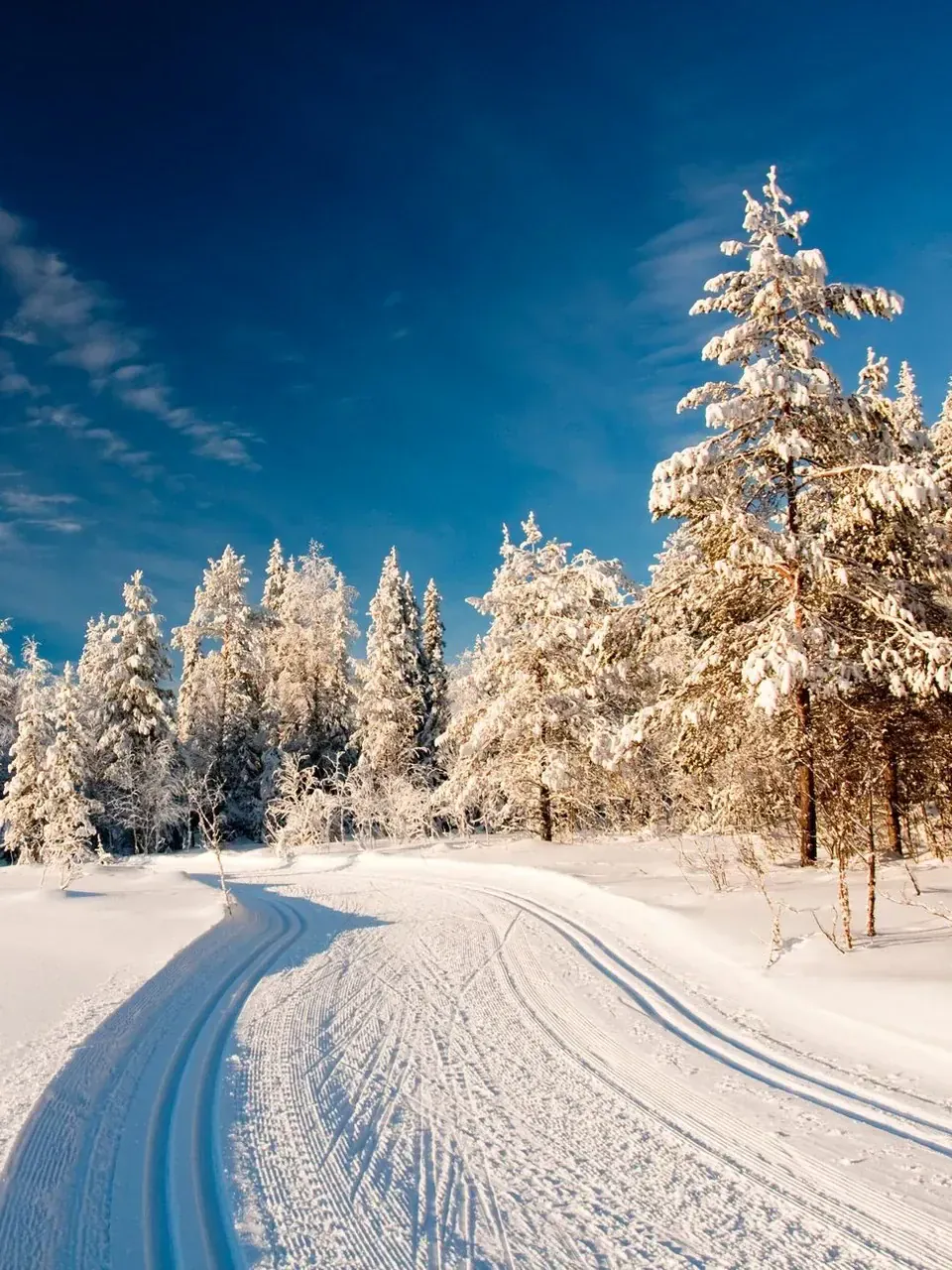 Winter