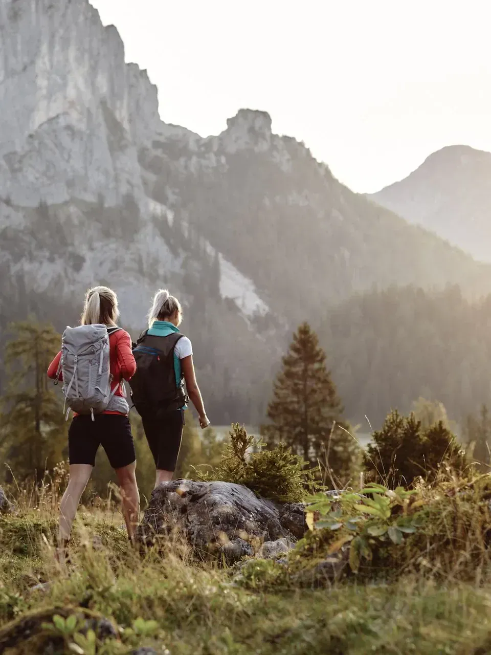 Die Individualreise